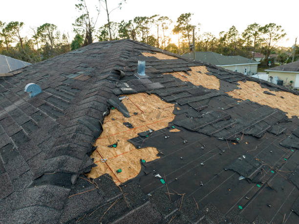 Best Roof Insulation Installation  in Bethlehem, NC